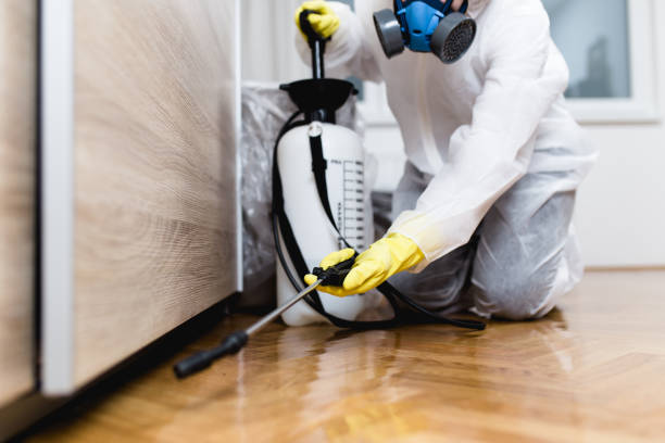 Best Local Pest Control Services  in Hawley, PA