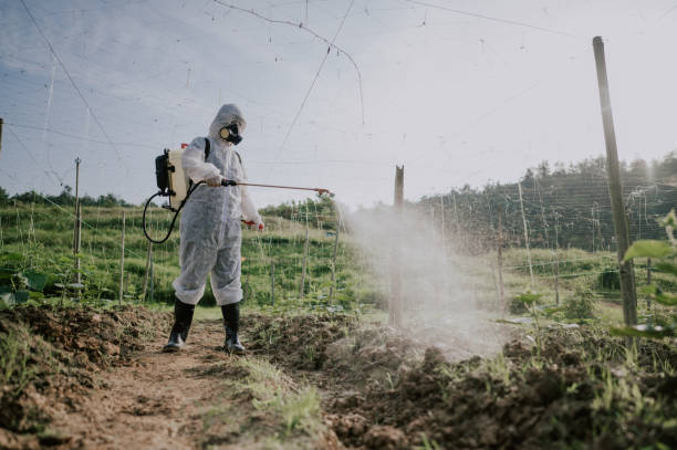Best Affordable Pest Control Services  in Hawley, PA