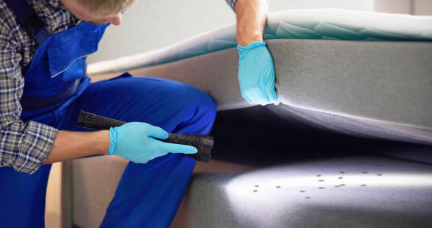 Best Residential Pest Control  in Hawley, PA