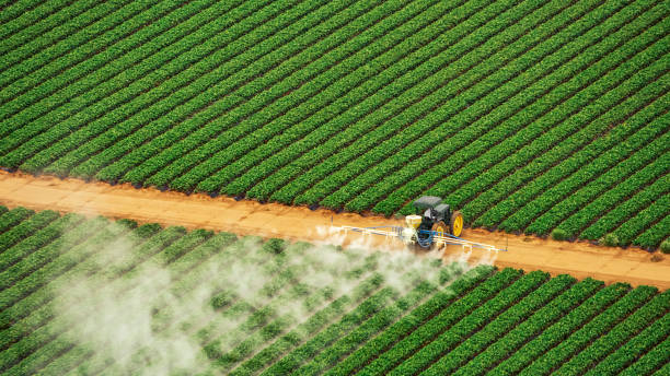 Best Ant Control Services  in Hawley, PA