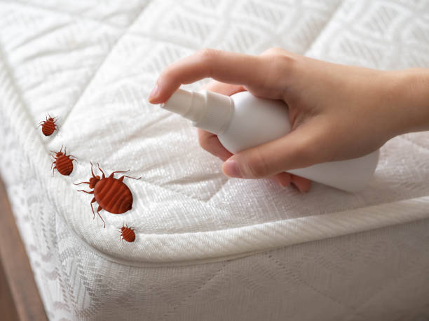 Best Pest Control Near Me  in Hawley, PA