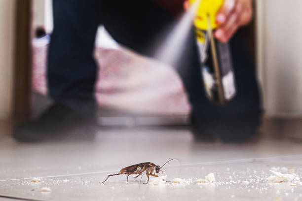 Pest Prevention Services in Hawley, PA